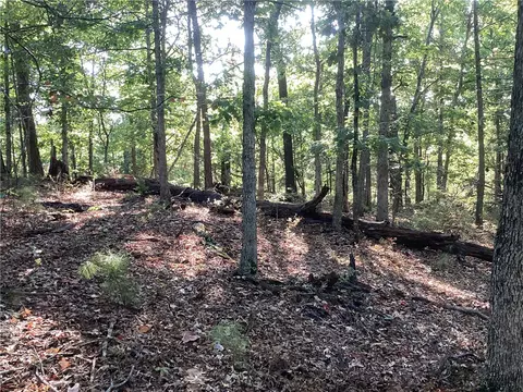 Lakeside Drive, Rogers, AR 72756 photo 6