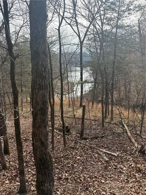 Lakeside Drive, Rogers, AR 72756 photo 2
