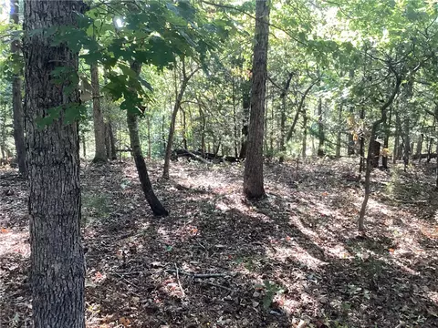 Lakeside Drive, Rogers, AR 72756 photo 4