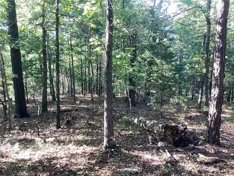 Lakeside Drive, Rogers, AR 72756 photo 5