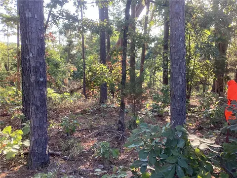 Lakeside Drive, Rogers, AR 72756 photo 10