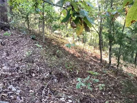 Lakeside Drive, Rogers, AR 72756 photo 9
