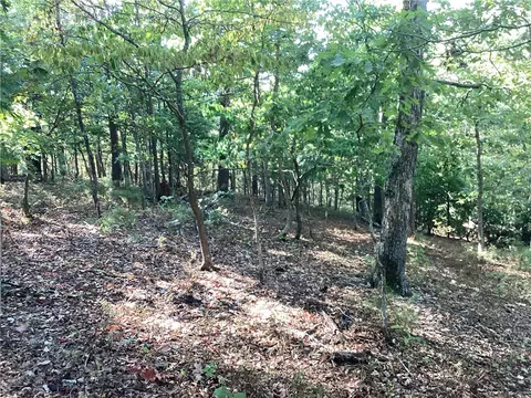 Lakeside Drive, Rogers, AR 72756 photo 7