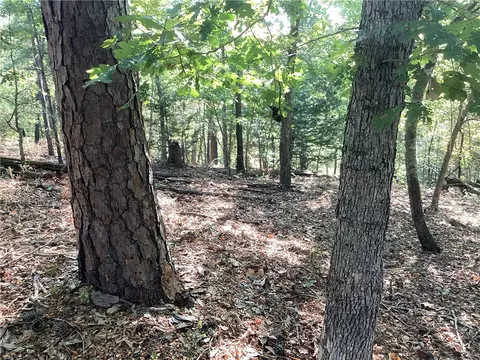 Lakeside Drive, Rogers, AR 72756 photo 3