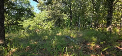 0 Salles Dr, Harrison, AR 72601 photo 8