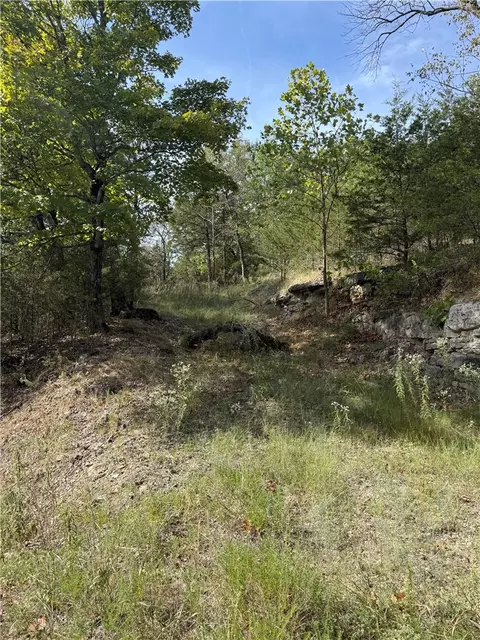 16 Oak Point Ln, Holiday Island, AR 72631