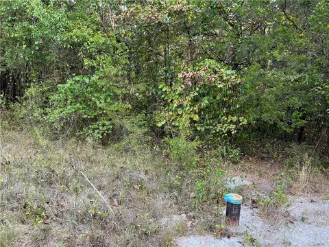 Fairview Drive, Harrison, AR 72601 photo 12