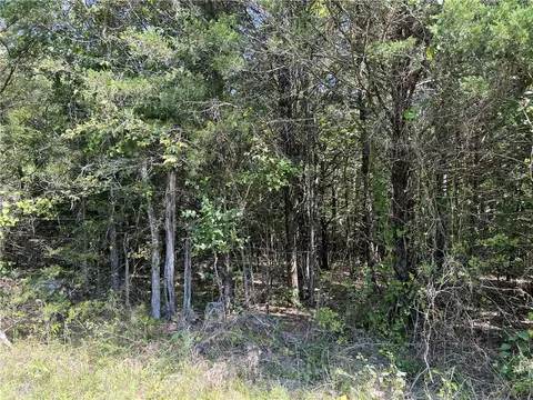 Fairview Drive, Harrison, AR 72601 photo 6