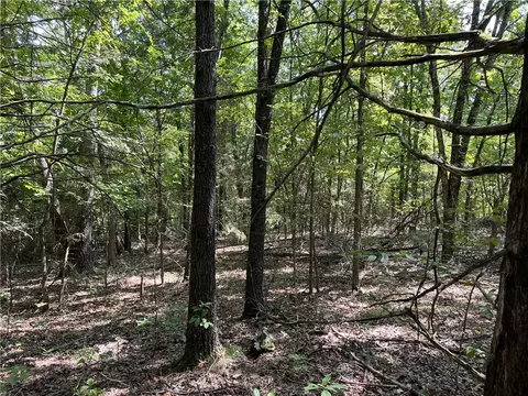 Fairview Drive, Harrison, AR 72601 photo 4