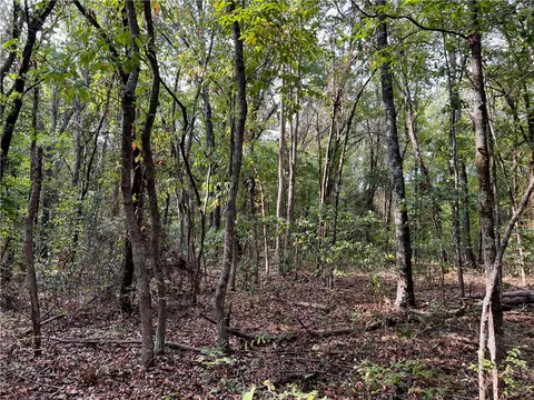 Fairview Drive, Harrison, AR 72601 photo 10