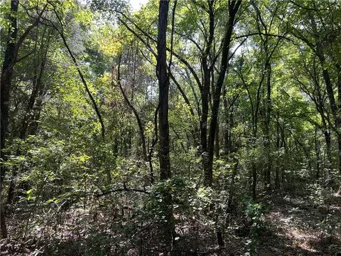 Fairview Drive, Harrison, AR 72601 photo 5