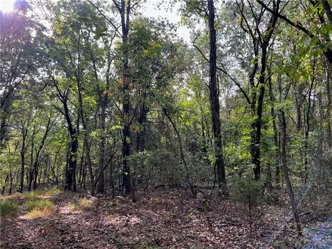 Fairview Drive, Harrison, AR 72601 photo 9