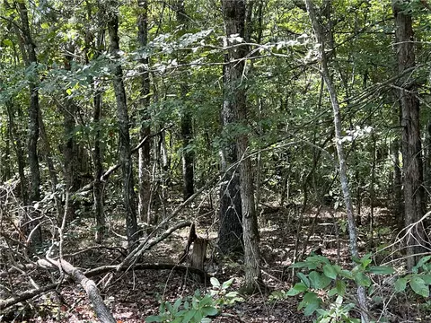 Fairview Drive, Harrison, AR 72601 photo 8