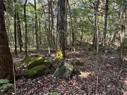 tbd Nc 7460, Deer, AR 72628