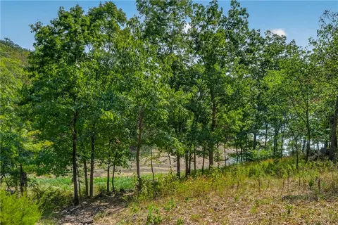 Other - 21265 Maple Dr, Garfield, AR 72732 photo 2 of 9