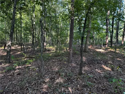 0 N Avilla Hts, Alexander, AR 72002 photo 8