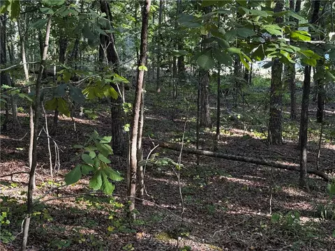 0 N Avilla Hts, Alexander, AR 72002 photo 11
