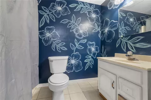 Bath - 511 E Gordon Ave, Harrison, AR 72601 photo 3 of 3