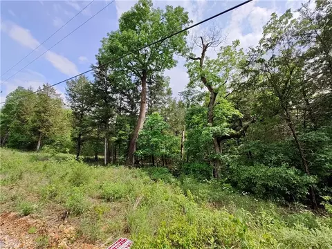 12 Sunrise Ave, Holiday Island, AR 72631