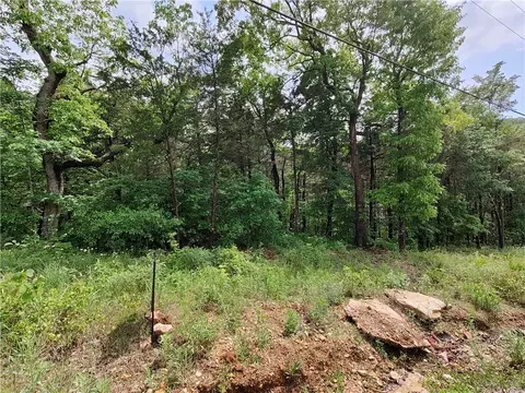 14 Sunrise Ave, Holiday Island, AR 72631