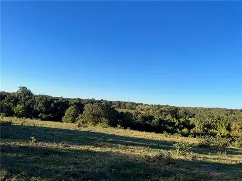 Parks Road, Harrison, AR 72601 photo 8
