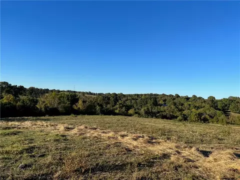 Parks Road, Harrison, AR 72601 photo 10