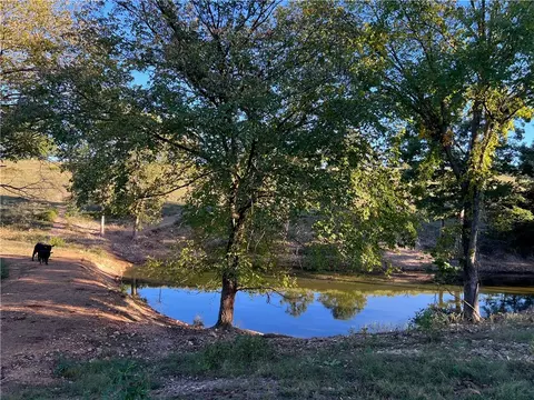 W Highway 62, Harrison, AR 72601 photo 20