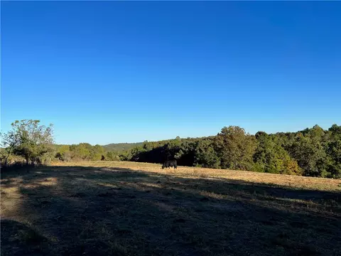 W Highway 62, Harrison, AR 72601 photo 24