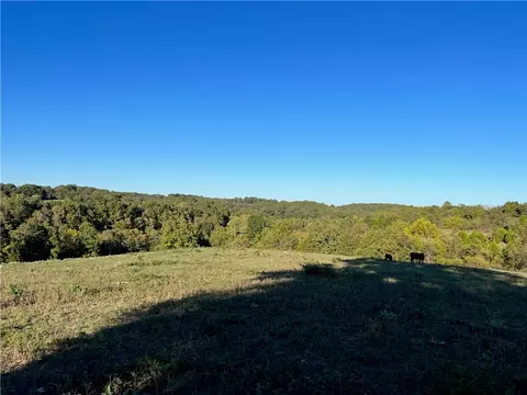 W Highway 62, Harrison, AR 72601 photo 10