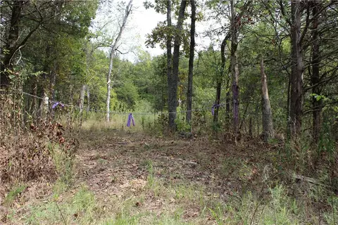 tbd Cr-2322, Beaver, AR 72631