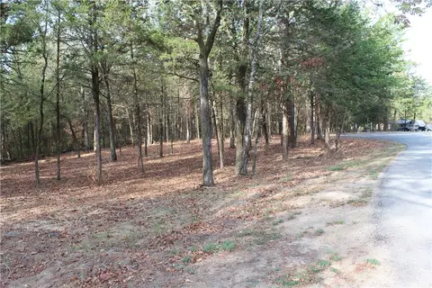Undisclosed, New Blaine, AR 72851
