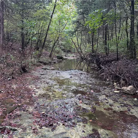 80 80 Acres Hwy 221 S, Berryville, AR 72616