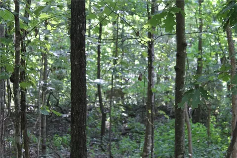 Firetower Road, Compton, AR 72624 photo 29