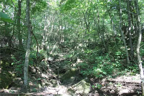Firetower Road, Compton, AR 72624 photo 26