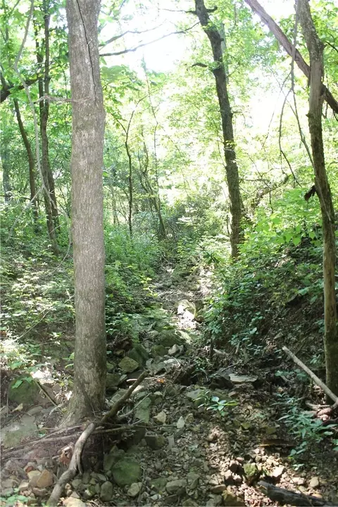 Firetower Road, Compton, AR 72624 photo 27