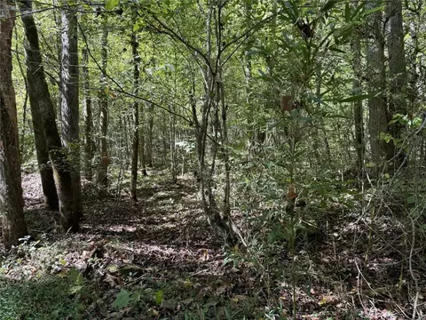 River Road, Fox, AR 72051 photo 3