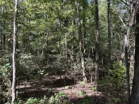 River Road, Fox, AR 72051 photo 6