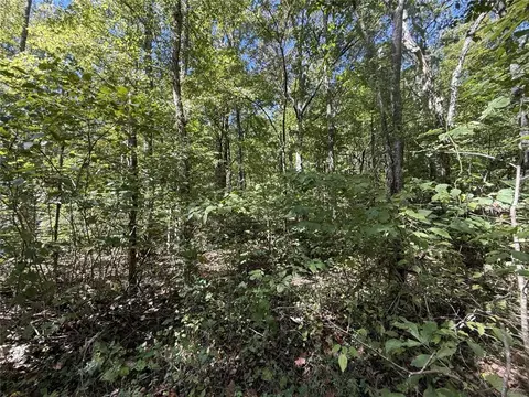 River Road, Fox, AR 72051 photo 8