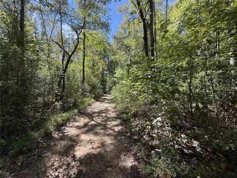 River Road, Fox, AR 72051 photo 4