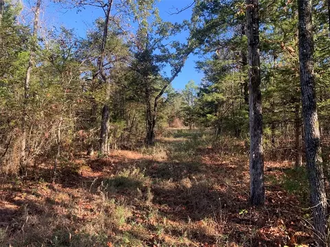 River Mountain Road, Delaware, AR 72835 photo 11