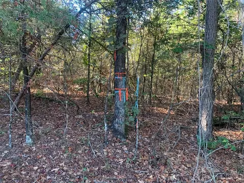 River Mountain Road, Delaware, AR 72835 photo 15