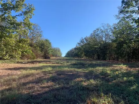 River Mountain Road, Delaware, AR 72835 photo 7