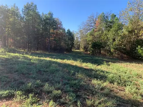River Mountain Road, Delaware, AR 72835 photo 3