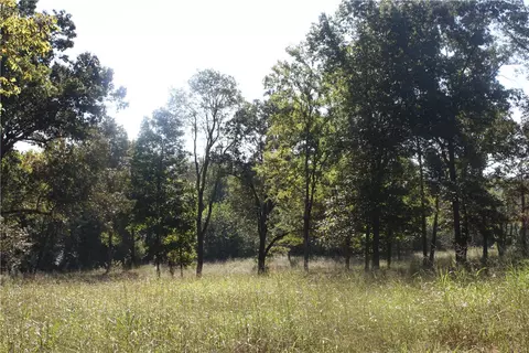 Undisclosed, Summit, AR 72677 photo 18