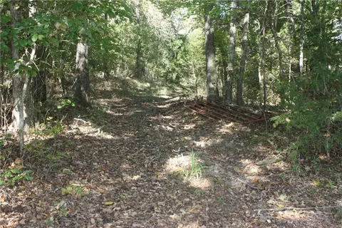 Undisclosed, Summit, AR 72677 photo 14