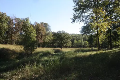 Undisclosed, Summit, AR 72677 photo 10