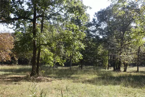 Undisclosed, Summit, AR 72677 photo 12