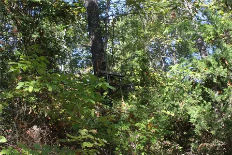 Undisclosed, Summit, AR 72677 photo 11