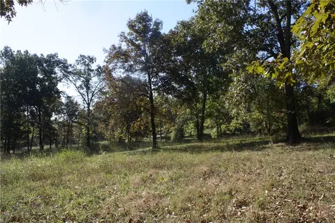 Undisclosed, Summit, AR 72677 photo 16