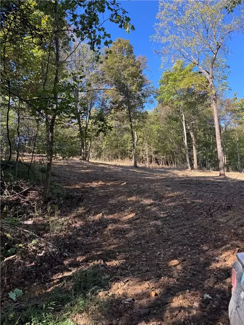 Madison 5445, Combs, AR 72721 photo 6
